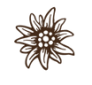 Edelweiss